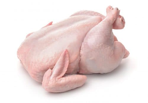 Chicken